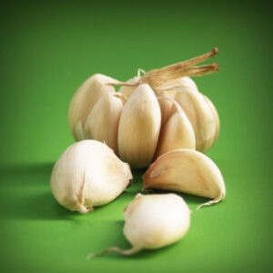 Image of garlic.
