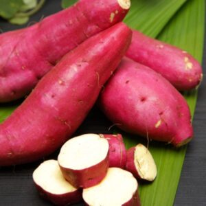 Sweet Potatoes in a group.
