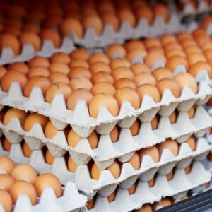 Cartons of brown eggs.