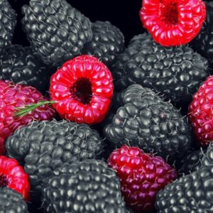 Mixed berries. Black berries and raspberries.